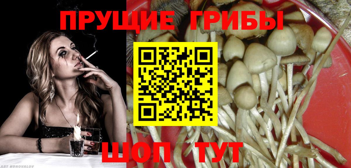 Галлюциногенные грибы GOLDEN TEACHER Бор