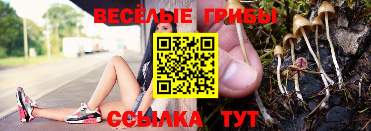 Бор  Псилоцибиновые грибы Magic Shrooms  Вход с VPN 